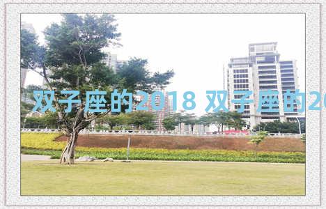 双子座的2018 双子座的2023幸运色